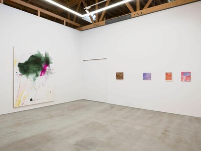 Emma McIntyre, Aragonite and conchiolin, exhibition view. Courtesy of Château Shatto