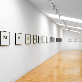 Robin White, Finding my way in Aomori, exhibition view. Courtesy of Two Rooms