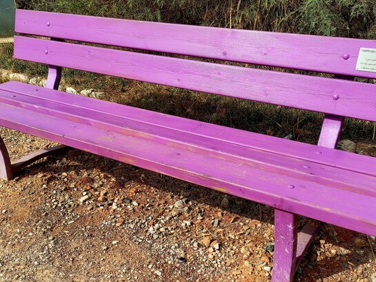 Panchina viola sul lungomare di Ardenza (Livorno, Italia) per la sensibilizzazione sulla fibromialgia