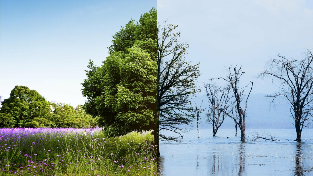 A split natural environment of vitality and decline, symbolising the contested future of the Earth