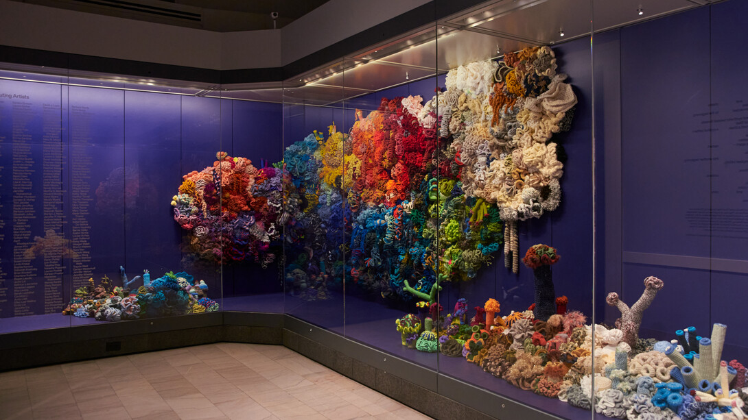 Christine and Margaret Wertheim, Pittsburgh satellite reef, exhibition view. Courtesy of Carnegie Museum of Art