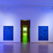 Pamela Rosenkranz, Liquid body, exhibition view. Courtesy of Stedelijk Museum