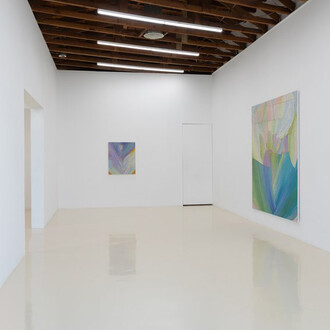 Tyler Vlahovich, The real story, exhibition view. Courtesy of Chris Sharp Gallery 