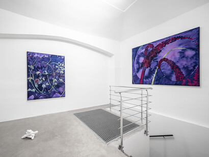 Tereza Tomanová, Vaulting, exhibition view. Courtesy of Karpuchina Gallery