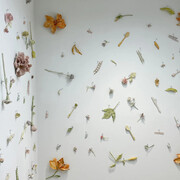 Monica Banks, Secret harmonies, exhibition view. Courtesy of Kathryn Markel Fine Arts