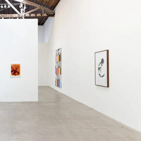 Kunié Sugiura, X-ray island, exhibition view. Courtesy of Moskowitz Bayse 