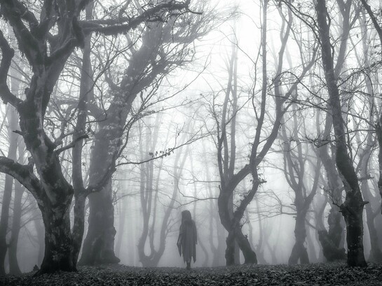 A spooky figure in a forest, representing the unknown forces humans have historically filled with cryptids and legends