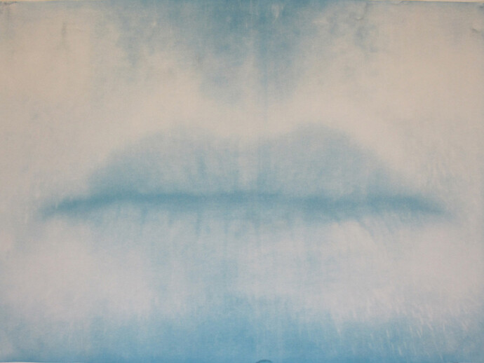 Nick Fox, All of me, some of me, 2014, cyanotype of Heritage rag, 101 cm x 137 cm
