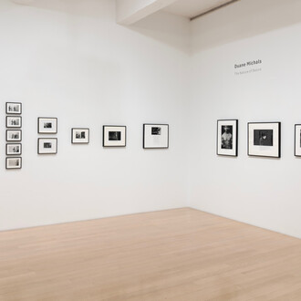 Duane Michals, The nature of desire, exhibition view. Courtesy of DC Moore Gallery 