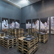 Gayle Chong Kwan, Exhibition view. Courtesy of Alberta Pane gallery