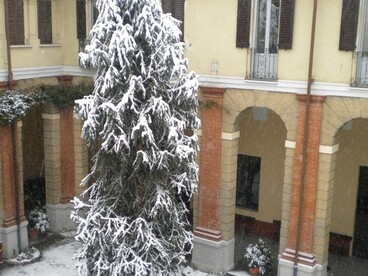 Cortile del Collegio Senatore, Pavia, Italia
