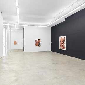 Younguk Yi, Mutant lab, exhibition view. Courtesy of the Hole