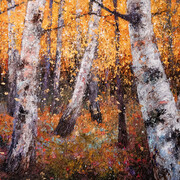 Joss Blanchard, Vœux (détail). Avec l'aimable autorisation de la Galerie Schortgen