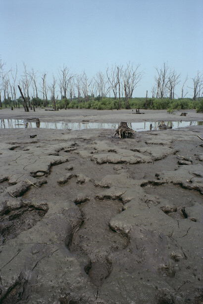 Ana Mendieta, Untitled: silueta series, 1979. © The Estate of Ana Mendieta Collection, LLC. Licensed by Artists Rights Society (ARS), NY. Courtesy Marian Goodman Gallery