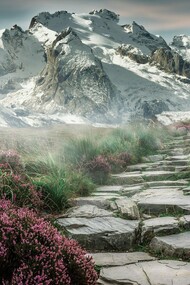 I never imagined a time in which you, with your vast lands and boundless novelties, would become eerily reclusive