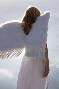 Un angelo accanto a me