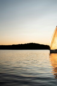 Occhi blu, profondi come il mare che circonda l’isola: osserva in silenzio