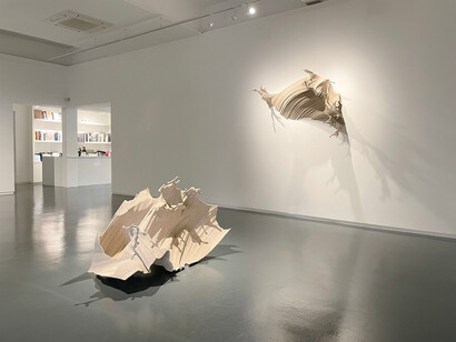 Zheng Lu, The dry riverbed finds no thanks for its past, exhibition view. Courtesy of Sundaram Tagore