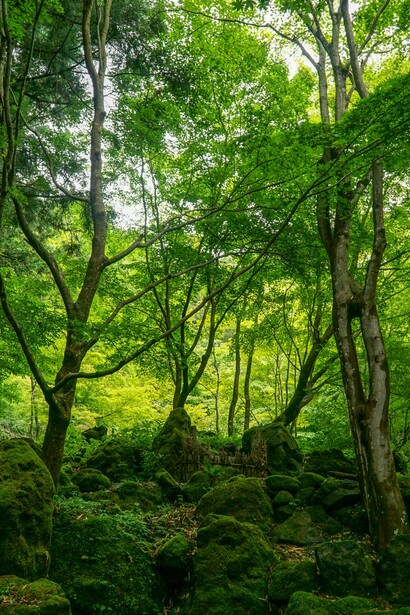 Questo approccio green unisce innovazione, filiere produttive locali e rispetto del territorio, rendendo la sostenibilità una scelta strutturale, non solo estetica