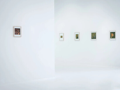 Felix De Clercq, exhibition view. Courtesy of Gallery Sofie Van de Velde