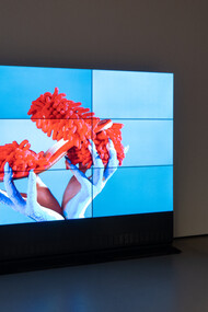 Allestimento della Dreamscape Collection by AGL