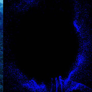 Double Feature. Courtesy of SCHIRN