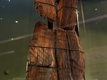 The Shigir Idol’s preserved wooden structure — Carved from larch wood over 12,000 years ago, its survival in a peat bog is a rare archaeological miracle, Russia