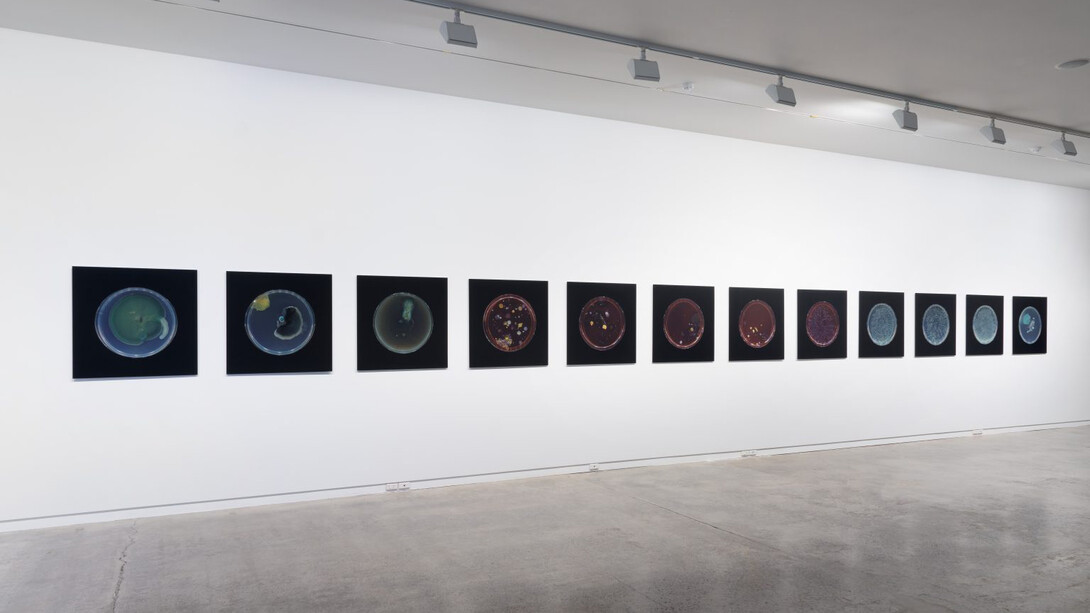 Dane Mitchell, Archive of dust, room 18, exhibition view. Courtesy of Two Rooms