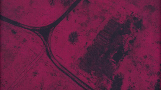 Marie Kølbæk Iversen, Fire twins (detail). Courtesy of Nikolaj Kunsthal 