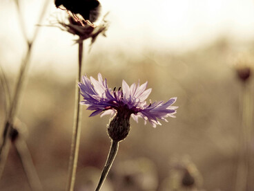 Los cambios y las transiciones invitan a cuestionar valores, prioridades y definiciones de éxito