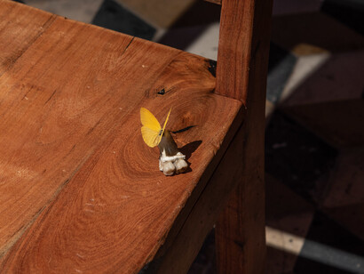 Miguel Fernández de Castro, La espera [The wait], exhibition view. Courtesy of Travesía Cuatro