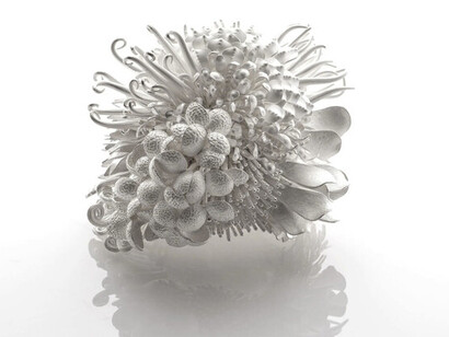 Poesía plateada, fiebre primaveral: Haiku, 2024
