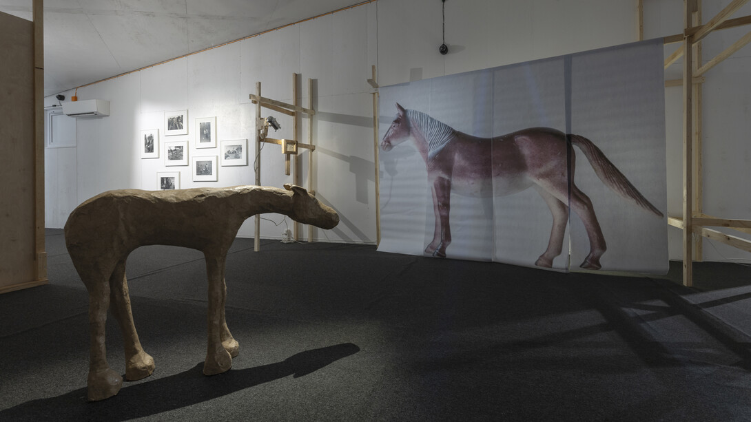 Various artists, Under pressure, exhibition view. Courtesy of Tallinn City Gallery