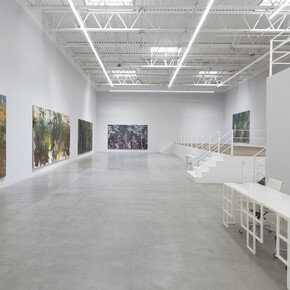 Doron Langberg, Landscapes, exhibition view. Courtesy of Jeffrey Deitch
