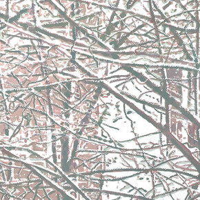 Luca Pancrazzi, Urbs ex arboribus. Per gentile concessione di Marcorossi artecontemporanea