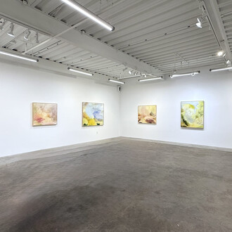 Janet Jacobs, Hope rising, exhibition view. Courtesy of Eleanor Harwood Gallery