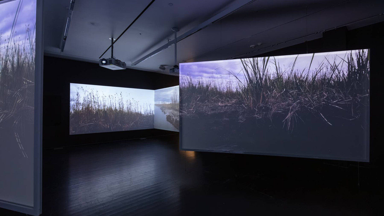 Deborah Jack, La posesión de estuarios… una secuela de confluencia, vista de exhibición. Cortesía del MCA Denver
