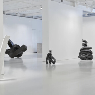Lee Bae, The form before, exhibition view. Courtesy of Gow Langsford Gallery