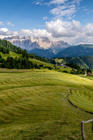 Distesa di erba con panorama sui monti