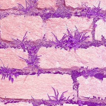 Le ricerche suggeriscono un’alterazione nei meccanismi di percezione e modulazione del dolore a livello del sistema nervoso centrale