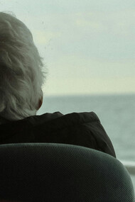 As janelas da vida moderna muitas vezes são substituídas pelas telas digitais, mas ainda podemos encontrar nas janelas reais uma pausa contemplativa. Olhar o cotidiano nos conecta com a simplicidade e a reflexão