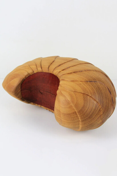 Lélia Demoisy, Carapace n°4 (detail), 2024. Courtesy of By Lara Sedbon Gallery