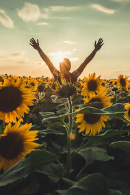 A person standing in a field of sunflowers, basking in the warmth of the sun, surrounded by nature's beauty