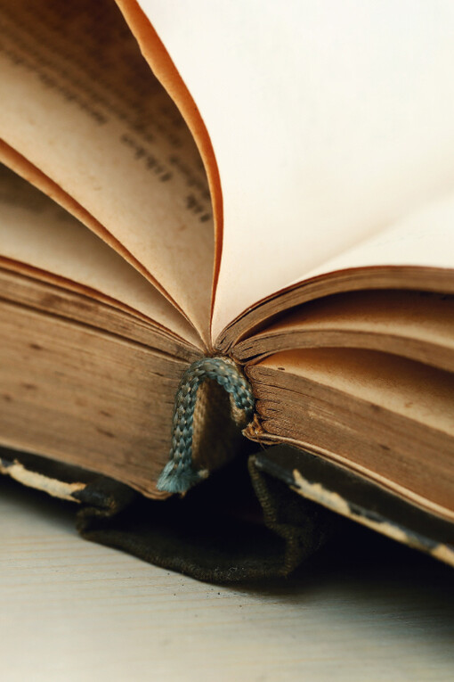 Entre quien escribe y quien lee se teje un vínculo secreto, una comunión invisible donde la belleza se reconoce a sí misma