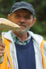 Com uma população crescente, os alimentos do futuro, como insetos, algas, cogumelos e carne de laboratório, trazem soluções sustentáveis. Inovações como fazendas verticais e proteínas alternativas ajudam a reduzir o impacto ambiental