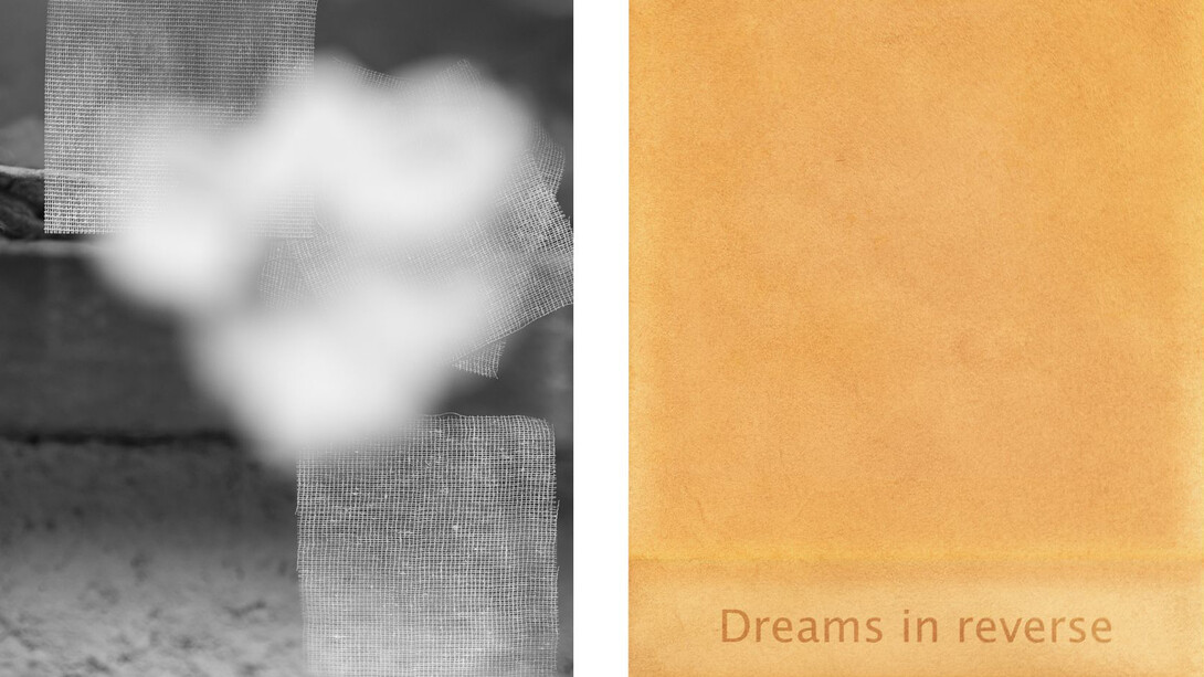 Mikelle Standbridge, Dreams in reverse (detail). Courtesy of Gli Eroici Furori