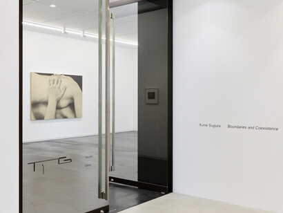 Kunié Sugiura, Boundaries and coexistence, exhibition view. Courtesy of Taka Ishii Gallery 