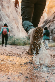Mulheres trabalhando. Vamos analisar seriamente os dados e estatísticas que revelam a complexa relação entre género e ambiente