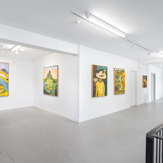 Ken Taylor Reynaga, Flowers that bloom twice, exhibition view. Courtesy of Brigade Gallery