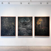 Edo Costantini, Solsticio de invierno: semillas de la nada, vista de exhibición. Cortesía de Praxis